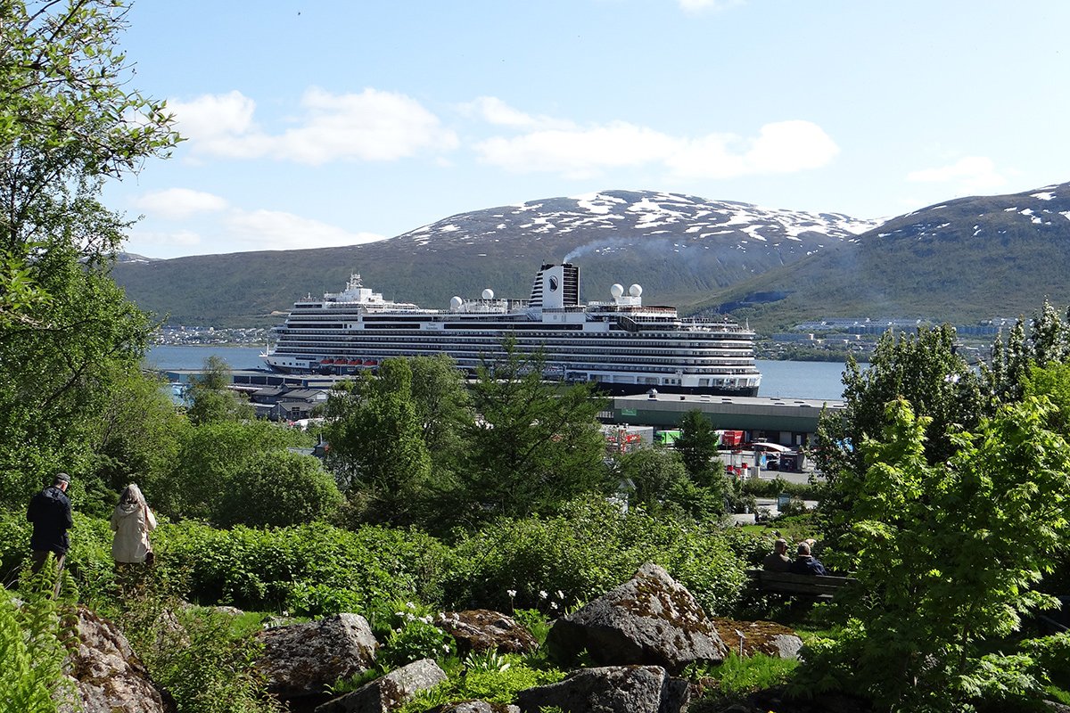 Jardim Botânico Ártico-Alpino de Tromsø exibe flora de climas extremos 1 Jardim Botânico Ártico-Alpino de Tromsø exibe flora de climas extremos - Imagem do artigo original