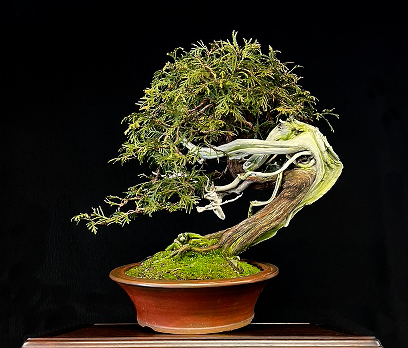 rss featured 14602 1753403342