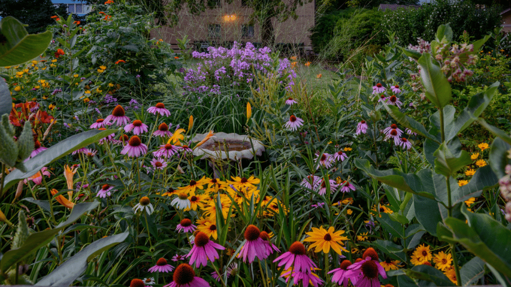 rss featured 14617 1753481918