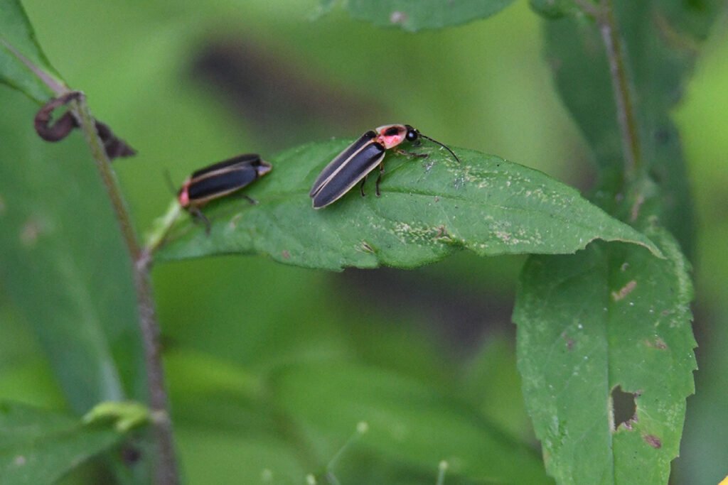 rss featured 14627 1753530834