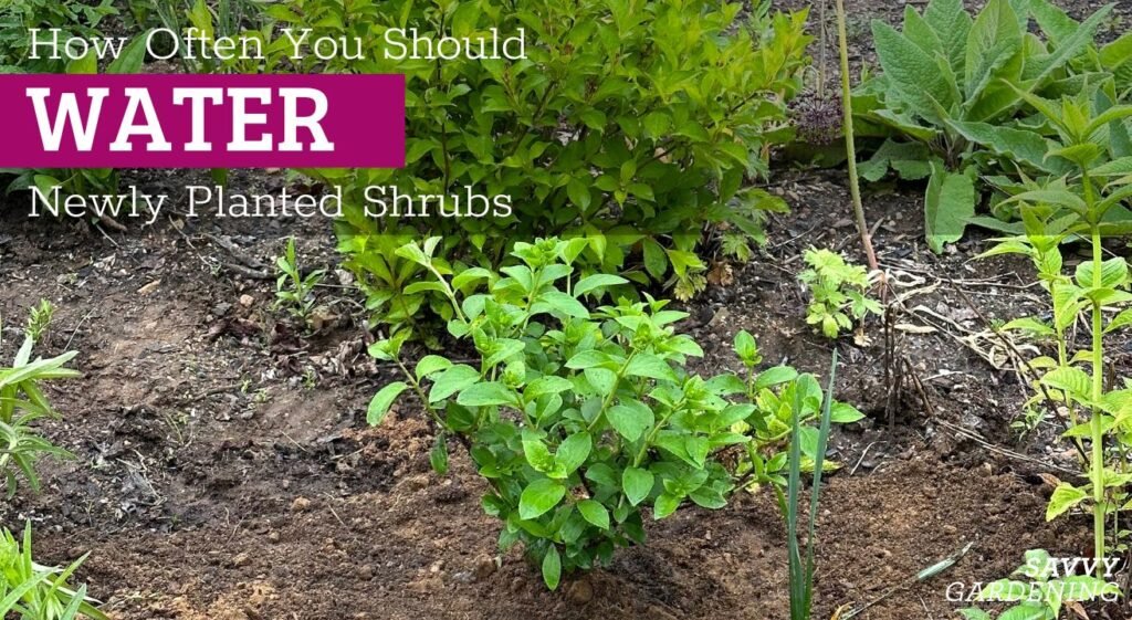 rss featured 14659 1753805047