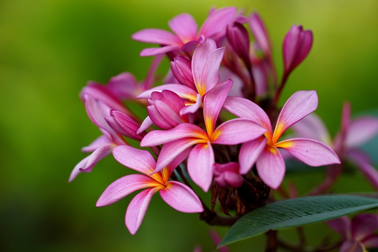 rss featured 14663 1753837341