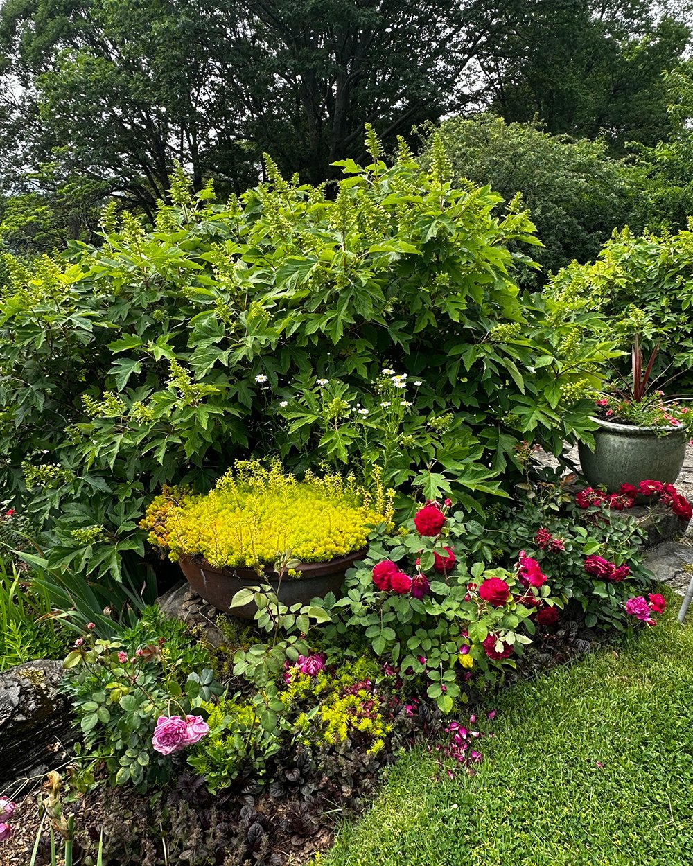 Jardim secreto de Teresa Liszka em Nova York é apresentado ao público pela primeira vez - Imagem do artigo original