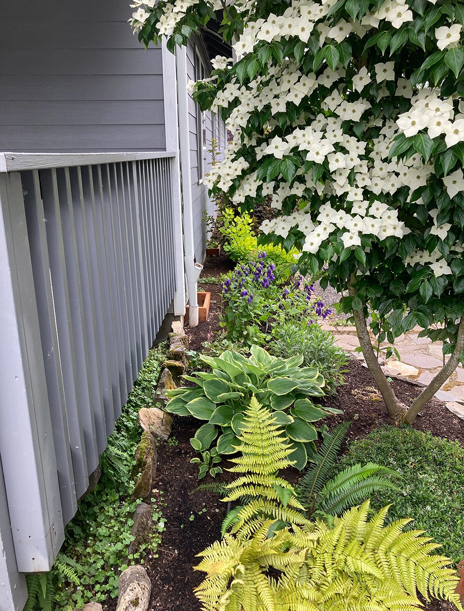 Jardim compacto em Gresham ganha nova vida em apenas três anos - Imagem do artigo original