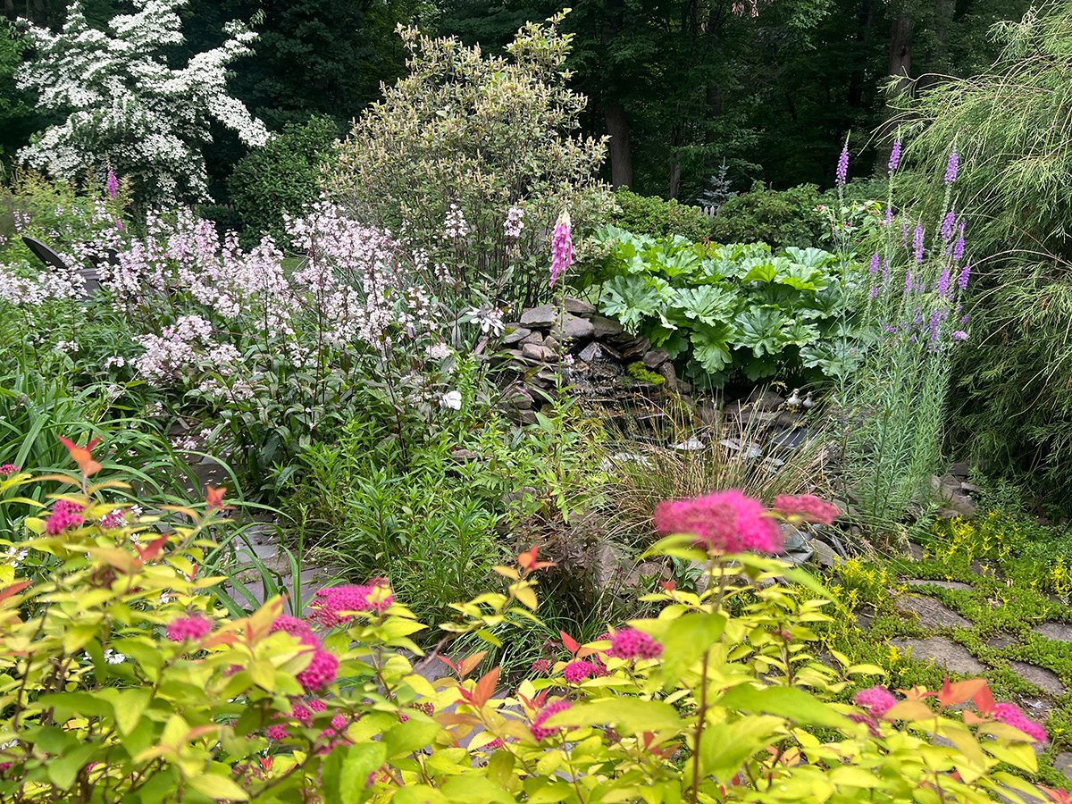 Cores vibrantes dominam o jardim de Cindy em Rochester, Nova York - Imagem do artigo original