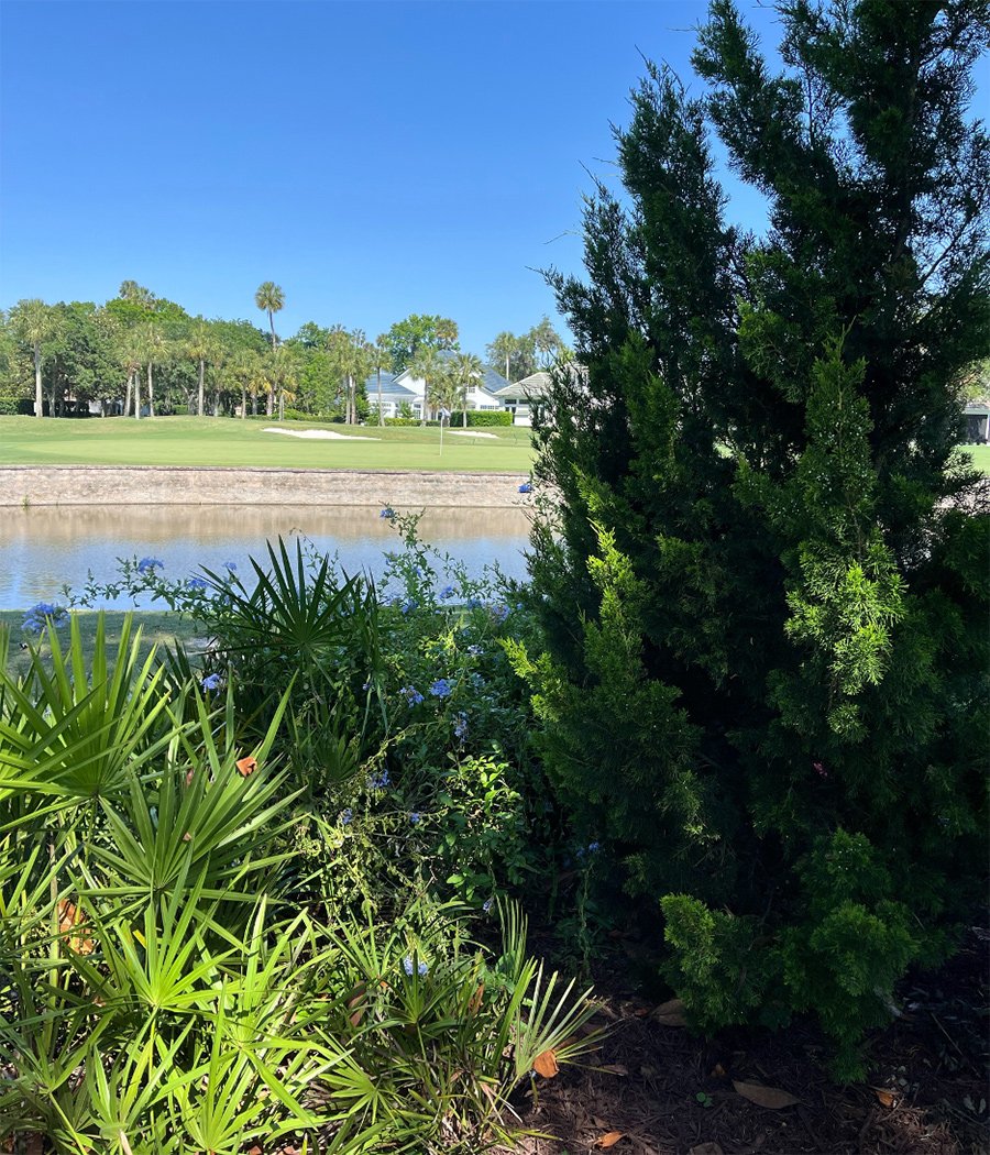 Visita ao jardim sereno de Teresa Romero marca início do Secret Garden Tour em Ponte Vedra Beach - Imagem do artigo original