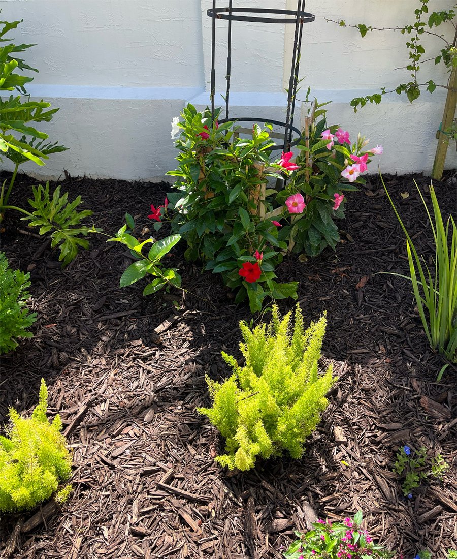 Jardim de Ponte Vedra Beach recria paisagem mediterrânea com ciprestes italianos, oliveiras e fontes - Imagem do artigo original