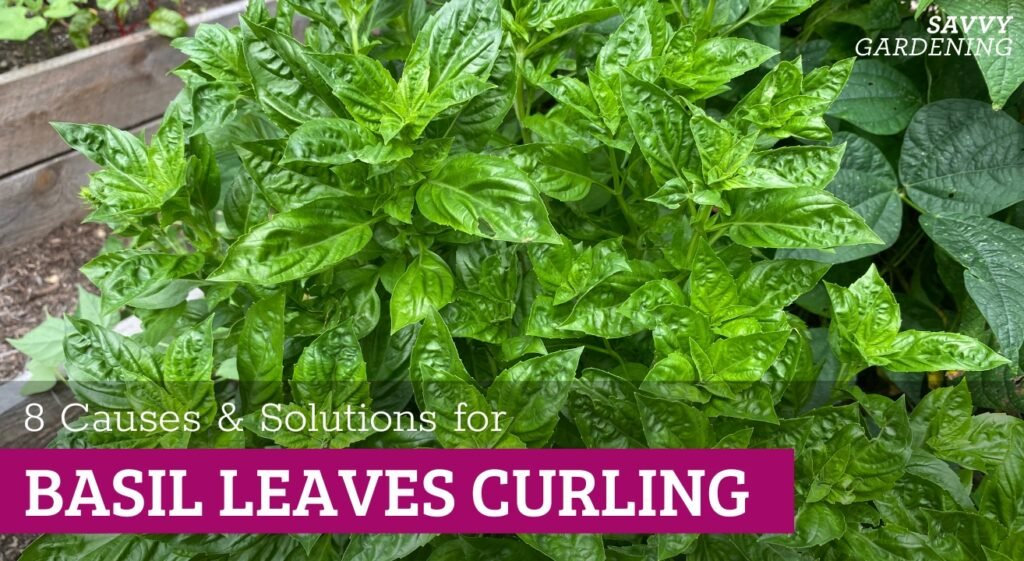 rss featured 14679 1754075906