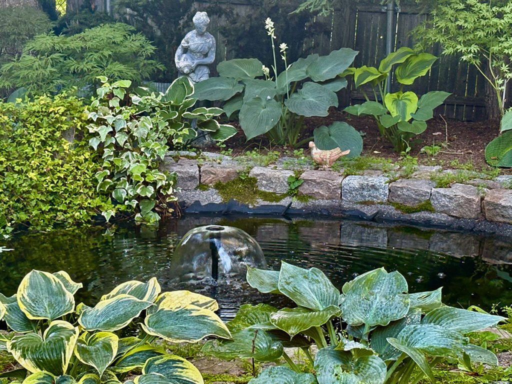 Jardim em Rhode Island revela evolução após cinco anos de cultivo intensivo 2 rss featured 14748 1754368348