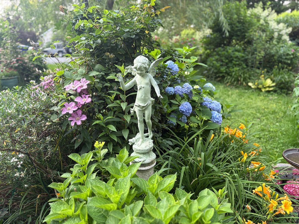 Destaques florais e folhagens do jardim de Carla no fim de junho 2 rss featured 14819 1754626643