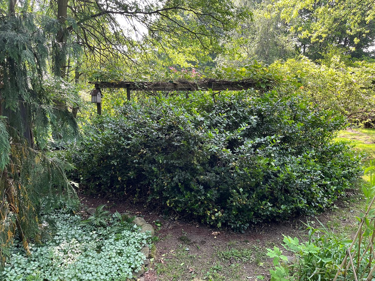 rss featured 14865 1754886900