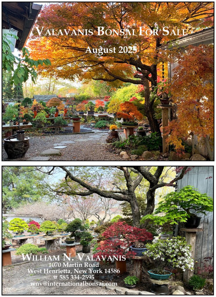 rss featured 14883 1754972951