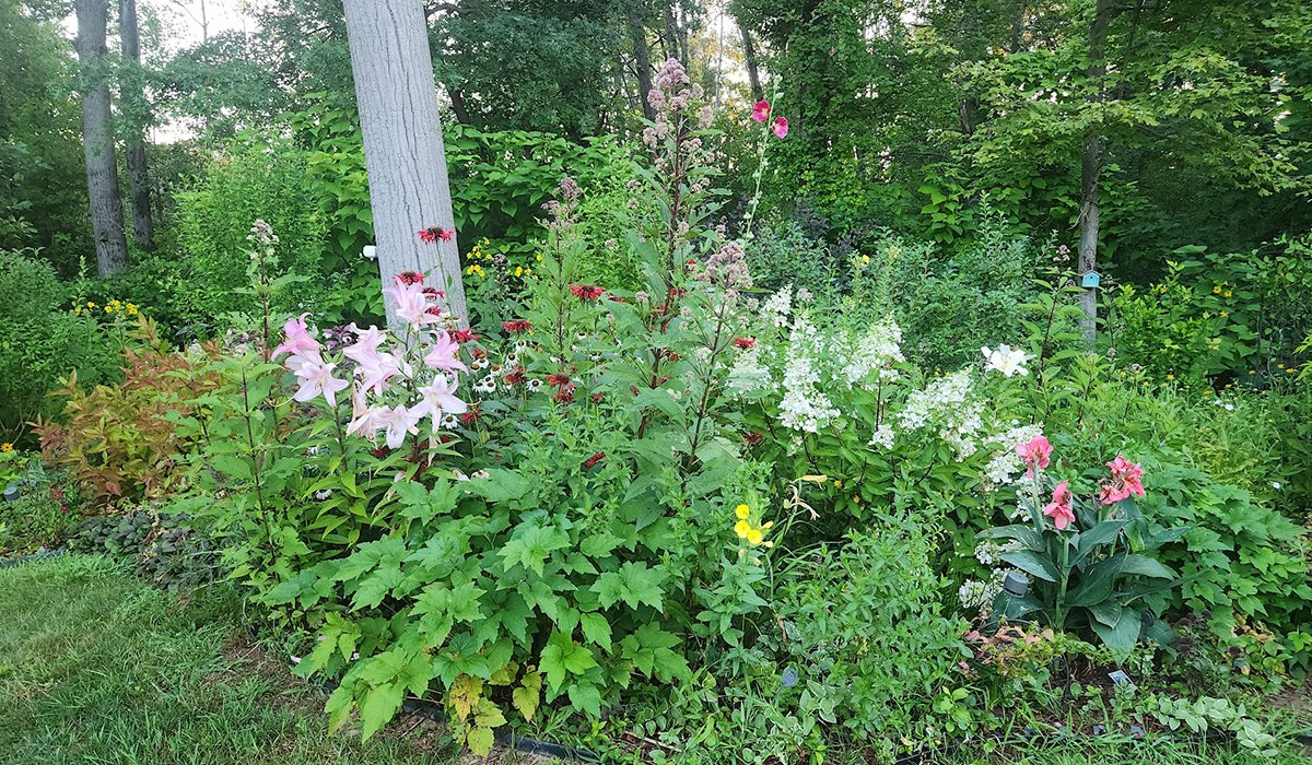 rss featured 14889 1754974651