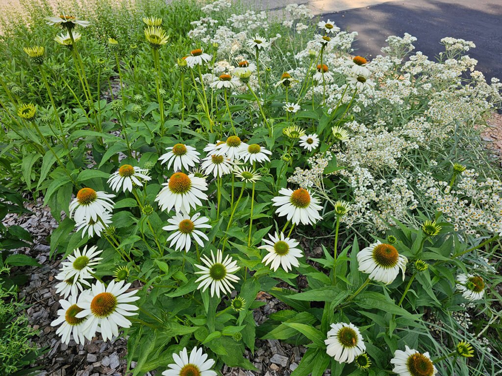 rss featured 14920 1755142543