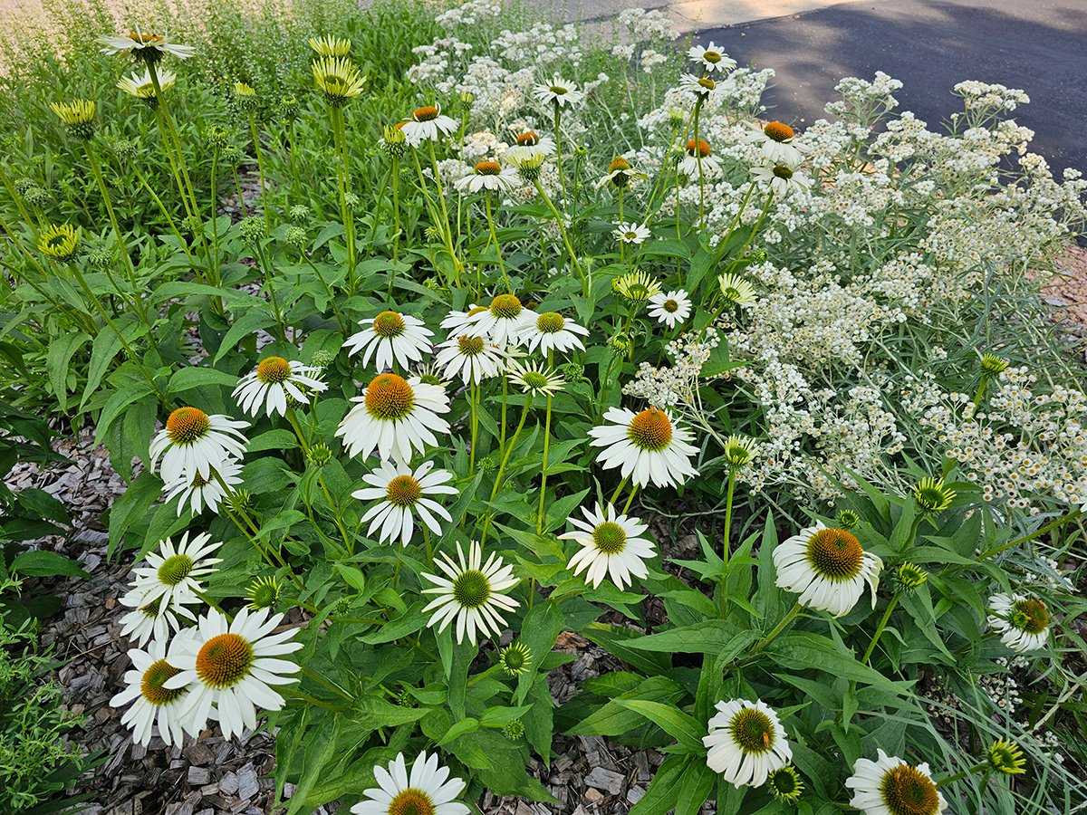 rss featured 14920 1755142543