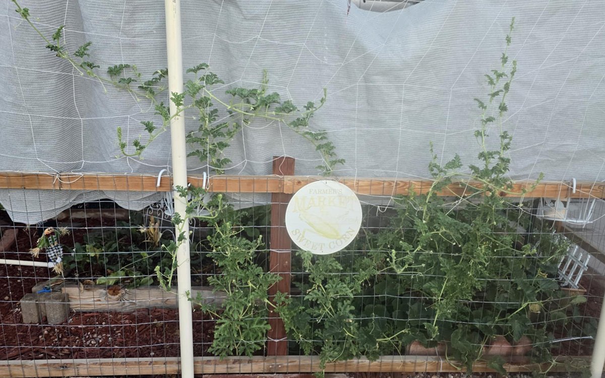 rss featured 14936 1755228767