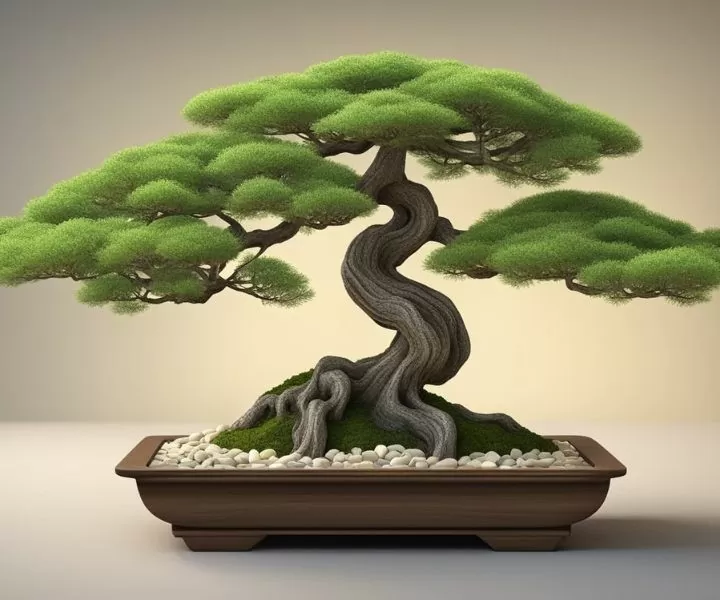 Como Cuidar de um Bonsai: Dicas Essenciais para Iniciantes